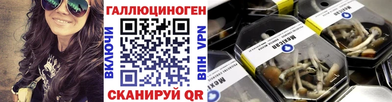 Псилоцибиновые грибы мицелий Новое Девяткино
