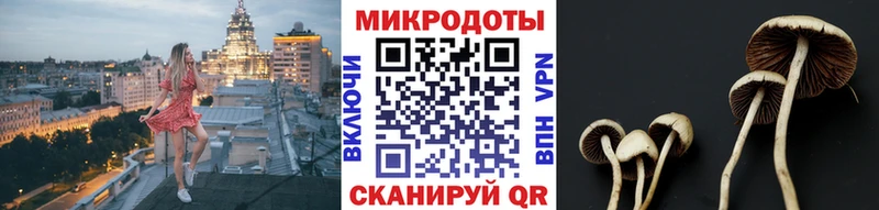 Галлюциногенные грибы GOLDEN TEACHER  Купить где  Новое Девяткино 