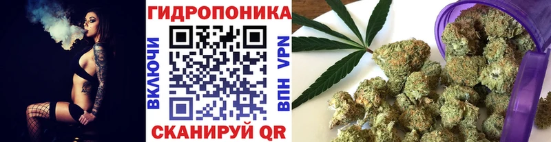 Купить закладки  Новое Девяткино  Шишки марихуана VHQ 